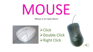 Information How to Use a Mouse: The Ultimate Guide for Beginners! News