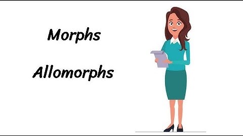 Morphs and Allomorphs in Urdu/Hindi| Morphs & Allomorphs Explained| Examples of Morphs & Allomorphs