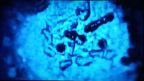 Dr. Emoto's Experiment In Gratitude (with water)