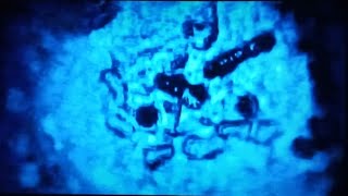 Dr. Emoto's Experiment In Gratitude (with water)