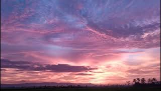 PEMANDANGAN SUNSET DI PINGGIR SAWAH YANG INDAH