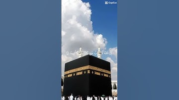 سورة النساء آية ١٠٦ و١٠٧ ياسر الدوسري