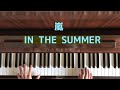 🌱🎹【弾いてみた】 ARASHI - IN THE SUMMER【ピアノ】嵐 新曲
