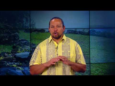 Hawaiian Word of the Day - Palekana