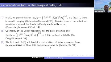 9 June 2020 - Nader Masmoudi