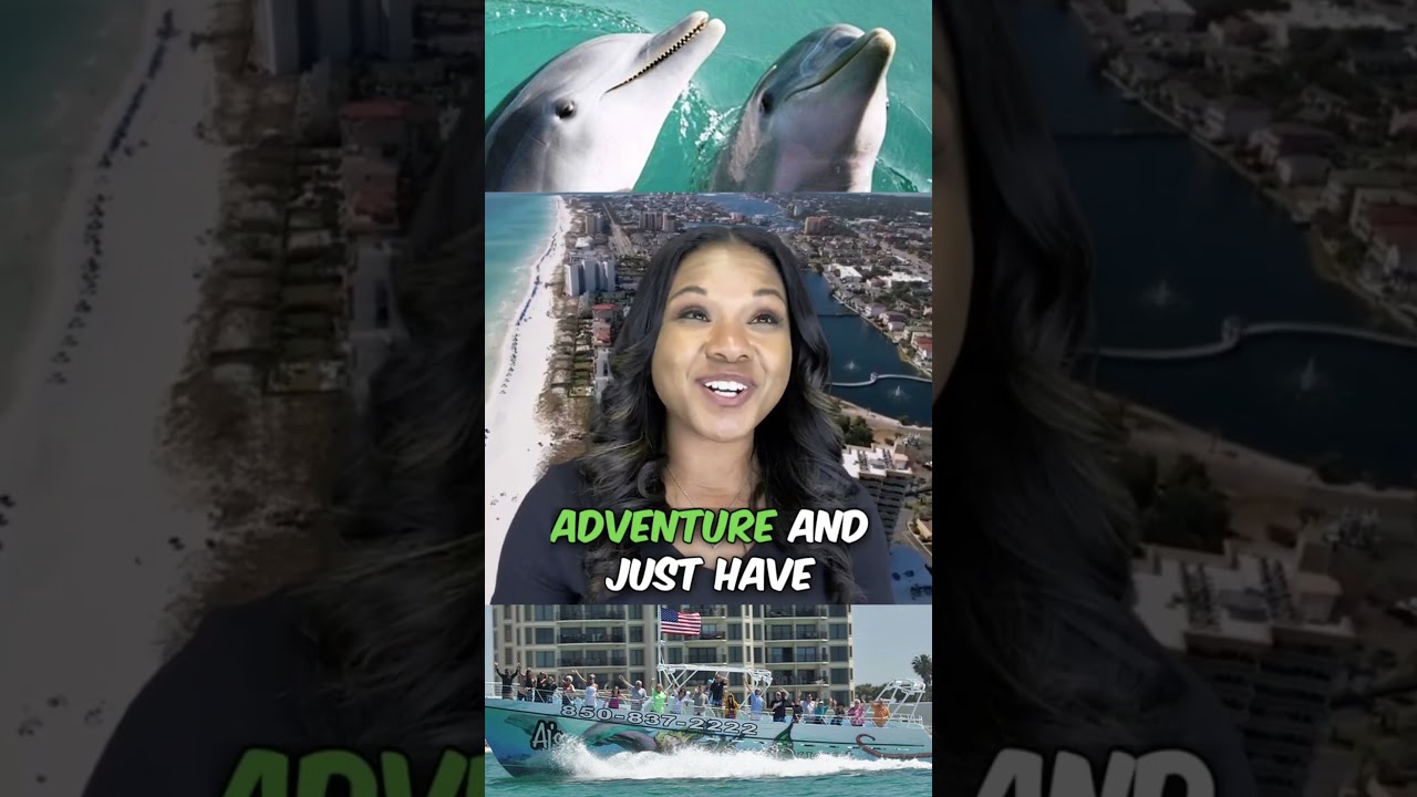 Dolphin Cruise in Destin fl