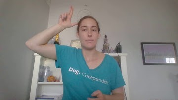 ASL 102 Lesson 2 Assignment 2