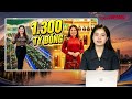 “Giấc mơ” sâm Ngọc Linh: Nữ chủ tịch lừa nhà đầu tư góp 1.300 tỉ mua nhà, xe sang | VTC News