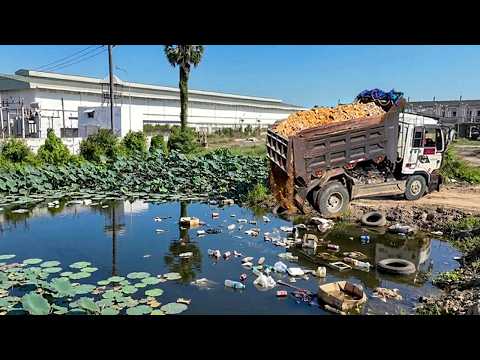 Extreme Actions !! Start New Landfilling Delete Big Pond By Dozer Komatsu D31P Truck 5T Pushing Soil