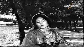 Noor Jehan - Dhol Balocha Morr Muharan - Murad Baloch (1968) chords