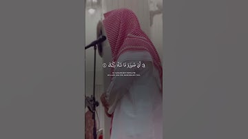 إبراهيم الغالبي سورة الإنفطار