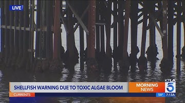 Officials issue shellfish warning for California coast.