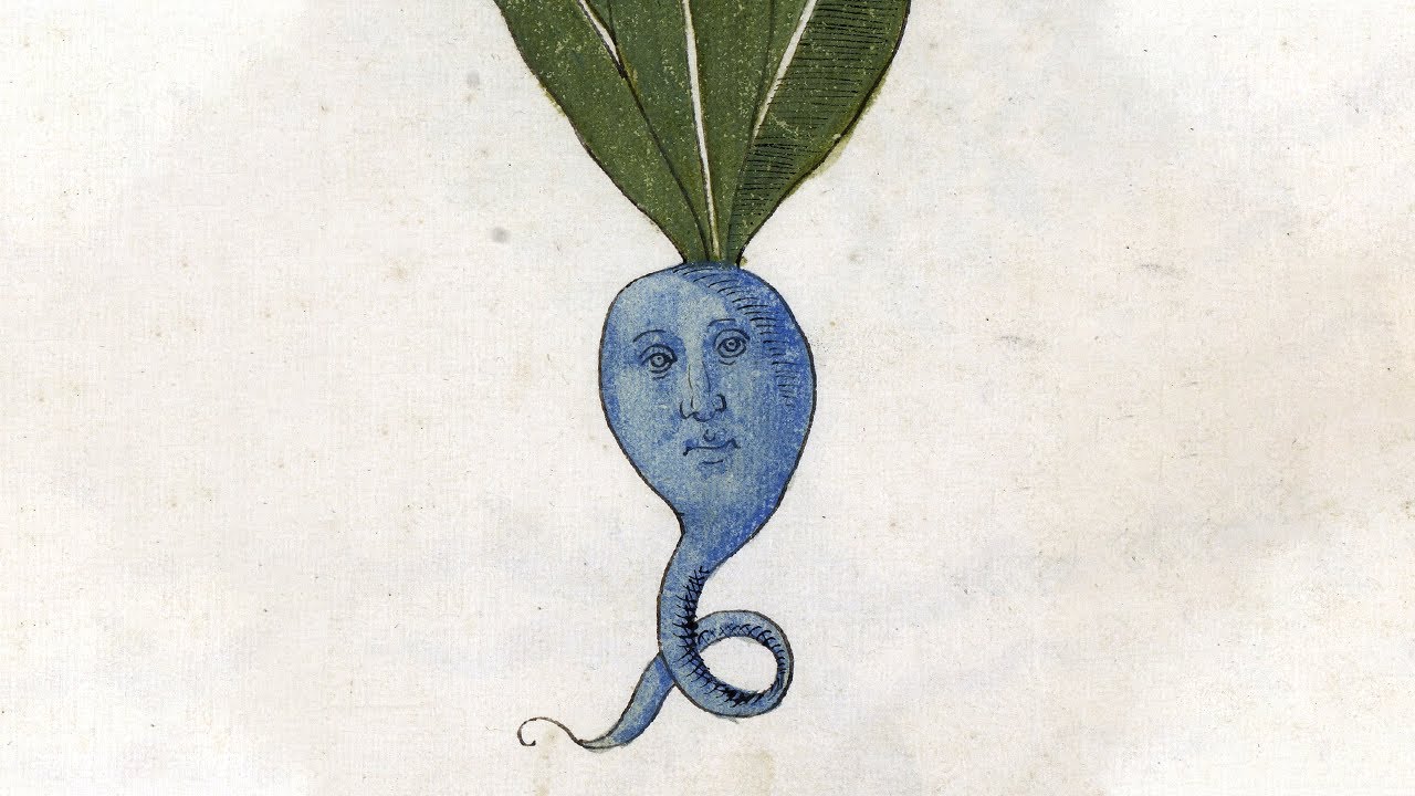 Rhaphanidosis: The Brutal Ancient Greek Punishment