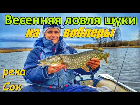 ЛОВЛЯ ЩУКИ НА ВОБЛЕРЫ ВЕСНОЙ/ РЫБАЛКА НА РЕКЕ СОК/ЩУКА НА СПИННИНГ/ ЛОВЛЯ ТВИЧИНГОМ/РЫБАЛКА В САМАРЕ