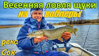 ЛОВЛЯ ЩУКИ НА ВОБЛЕРЫ ВЕСНОЙ/ РЫБАЛКА НА РЕКЕ СОК/ЩУКА НА СПИННИНГ/ ЛОВЛЯ ТВИЧИНГОМ/РЫБАЛКА В САМАРЕ