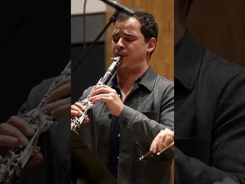 Weber, Clarinet Quintet: IV. Rondo - Arthur Stockel, Quatuor Hanson