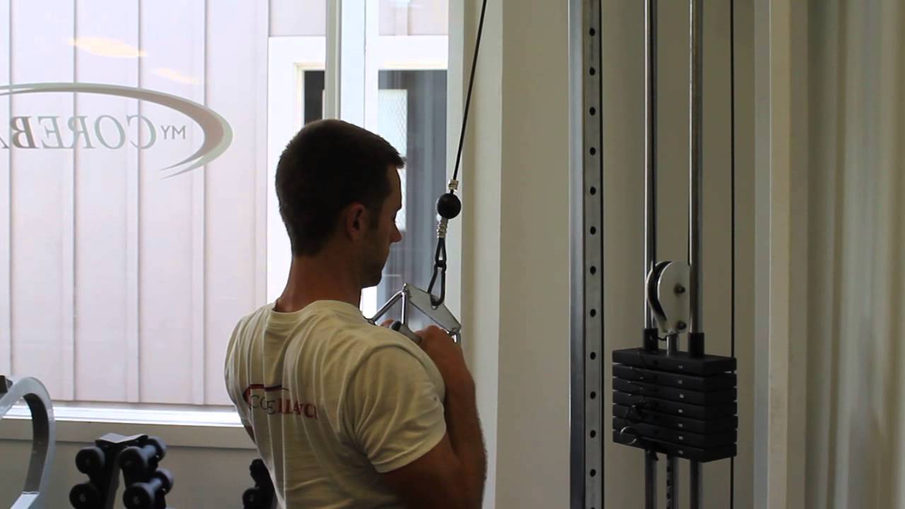 exercise 14.1 class 11 Lat Pulldown - Parallel