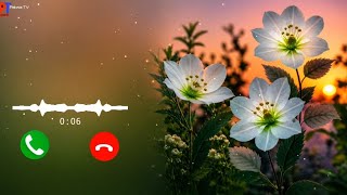Best Ringtone 2026 Hindi Ringtone New Song Ringtone Mobile Phone Ringtone Love Ringtone New Ringtone