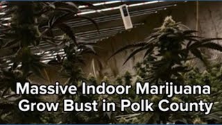 Massive indoor marijuana grow bust in Polk County