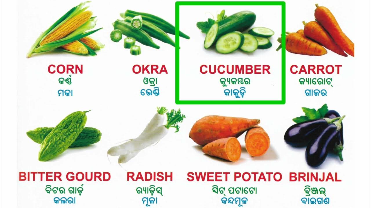 Vegetables In Odia And English Panipariba English Name 30 vegetables-in-odia-and-english-panipariba-english-name-30