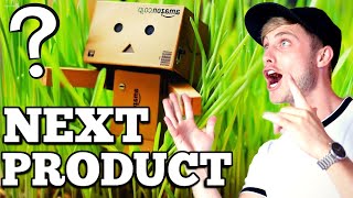 My New Amazon FBA Product Order + Alibaba Supplier Negotiation Tactic!