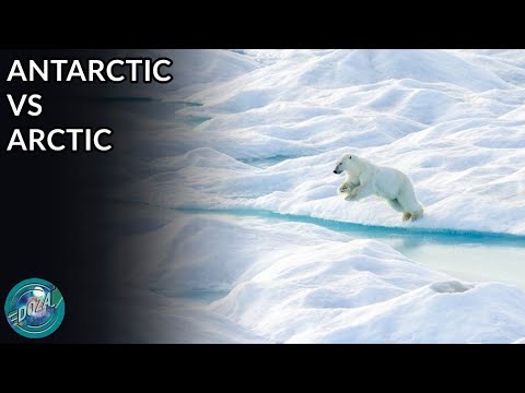 Video: Antarctica A Fost Locul De Naștere Al Atlantilor? - Vedere Alternativă