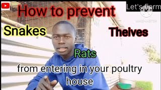 HOW TO PREVENT SNAKES,RATS AND THEIVES FROM ENTERING IN YOUR POULTRY HOUSE