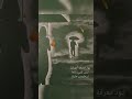 انيس الروح