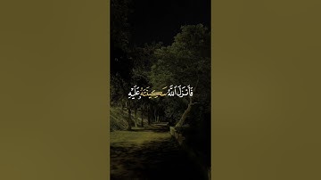لا تحزن ان الله معنا 😔❤️‍🩹 ، سورة التوبة