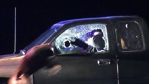 Incredible Moment K-9 Officer Charges Through Window and Takes Down Stalking Suspect