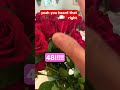 #garden break #garden , #roses