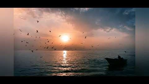 (إِلَّا تَنصُرُوهُ فَقَدْ نَصَرَهُ اللَّهُ) للقارئ وديع اليمني