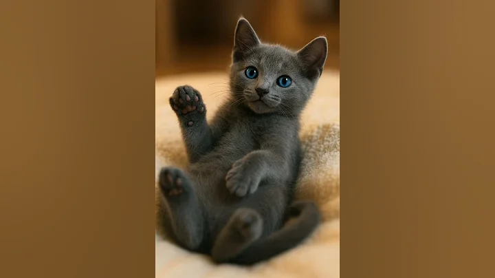 Watch the video about From Tiny Paws to Playful Steps