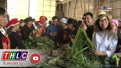 Hoạt động trải nghiệm thuốc tắm Dao đỏ ở Sa Pa | THLC