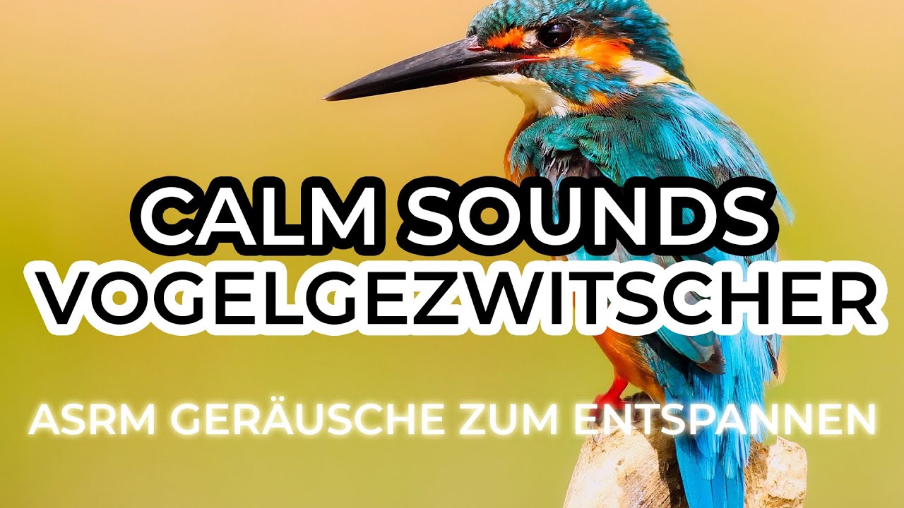 Vogelgezwitscher asrm sound - YouTube