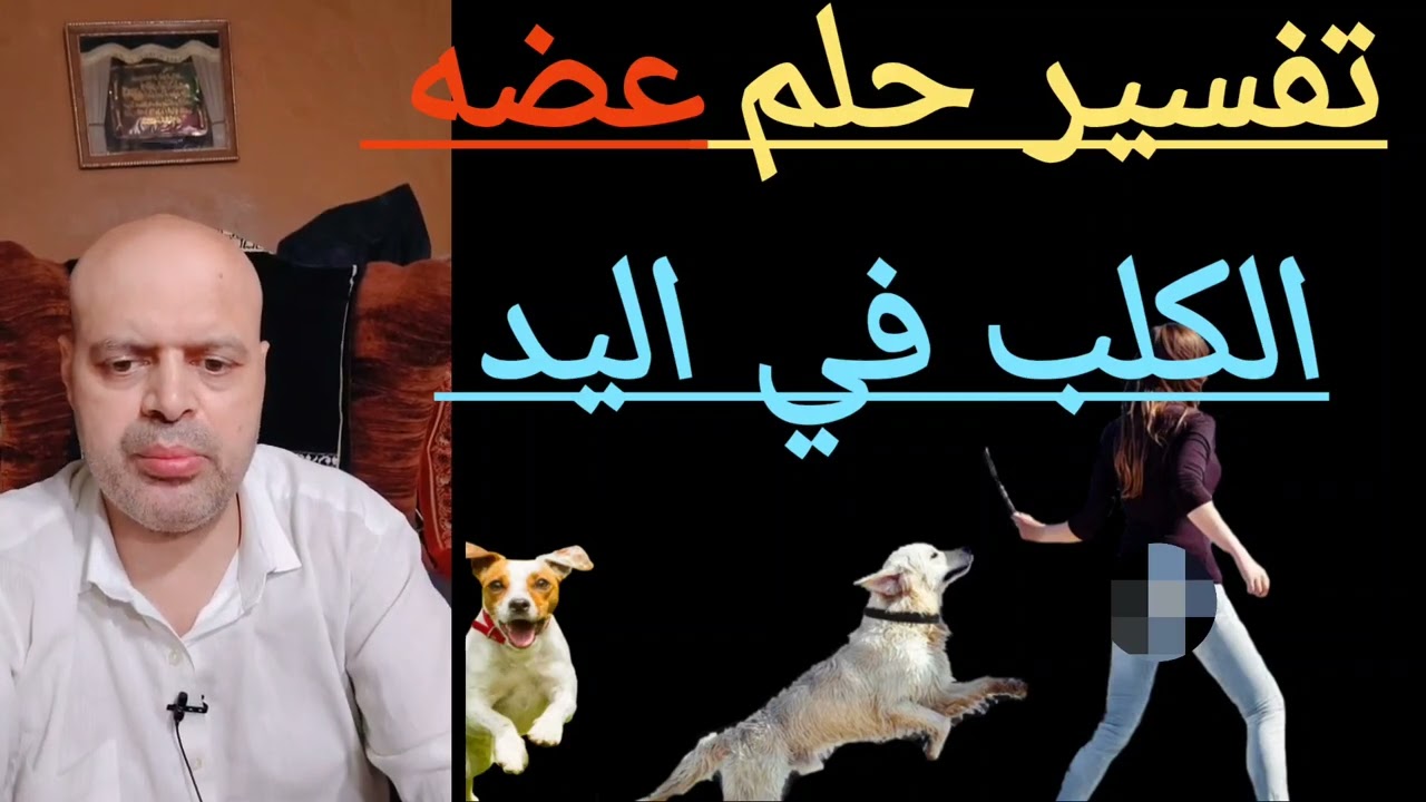 تفسير رؤية عضه الكلب في اليد في المنام، عضه الكلاب في الحلم، Dog in a dream، محمود أحمد منصور 