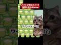 コンビニ社員時代にバイトがやらかした話 猫ミーム 猫マニ 社畜ネコ