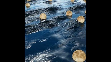 Media Art - Moon Floating Ocean  #mediaart #houdini #redshift #motiongraphics #render #relaxing #cgi