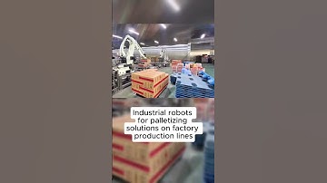 Industrial robots for palletizing solutions on factory production lines.#automation #machine