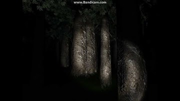 Slender gameplay part 1/2