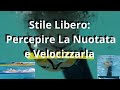 Come Percepire La Nuotata e Velocizzarla percepirsi, osservarsi e paragonarsi