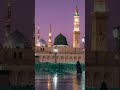 Mery nbi ni frmaya🤲🌹🥰 #beautiful #love #lifeisbutadream #bayan @HiTechIslamic @islam_populer99