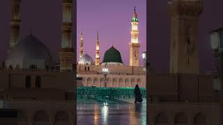 Mery nbi ni frmaya🤲🌹🥰 #beautiful #love #lifeisbutadream #bayan @HiTechIslamic @islam_populer99