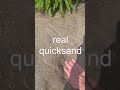 Real Quicksand Real Quicksand