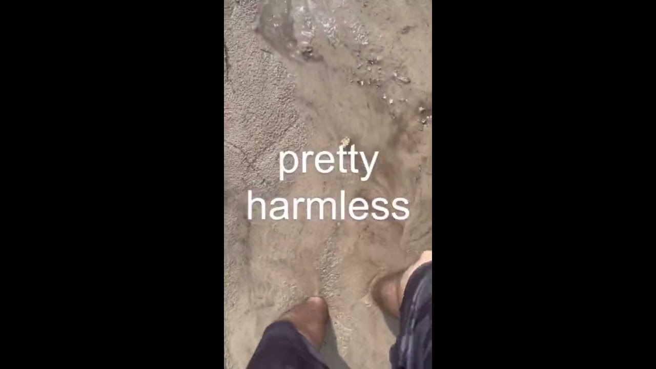 Real Quicksand