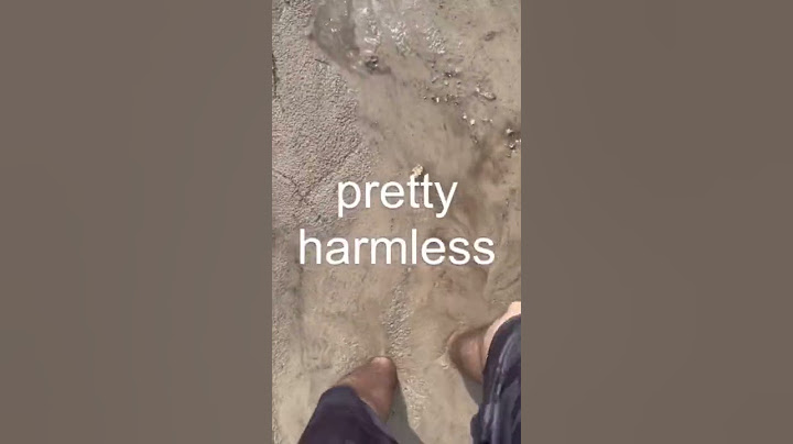 Real Quicksand