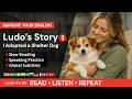 A2+/B1 🟠 English Story Listening &amp; Speaking | Ludo's Story #1 | I Adopted a Shelter Dog