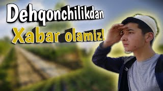 Dehqonchilikdan xabar olamiz! | Dalada nima gaplar ekan ? | Kartoshka, Uzumlar, Tarvuz