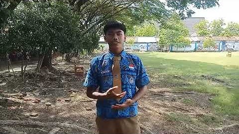 Membuat video vlog tugas informatika, Dimas Maulana Xl-6 (07)