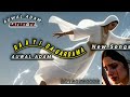 RA A YI DA GARDAMA SABUWAR WAKAR AUWAL ADAM AUWAL ADAM LATEST TV SUBSCRIBE NOW 